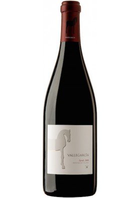 Vallegarcía Syrah 2012